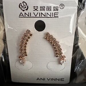 ANI VINNIE Rose Gold Earrings with Crystals